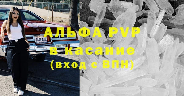 стафф Белокуриха